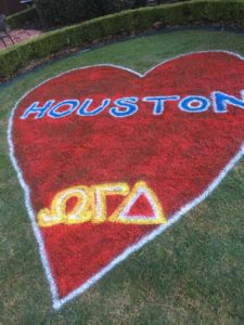 A heart shaped rug with the word " houston " written in it.